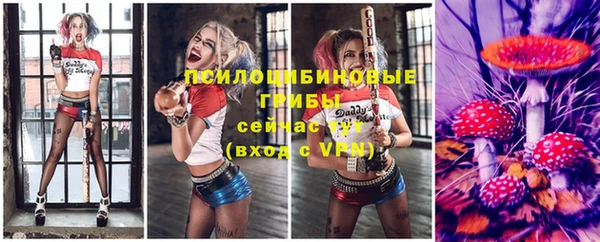 соль ск Белоозёрский